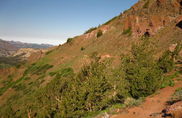 Red Rock trail on the South side of Sonora Peak.